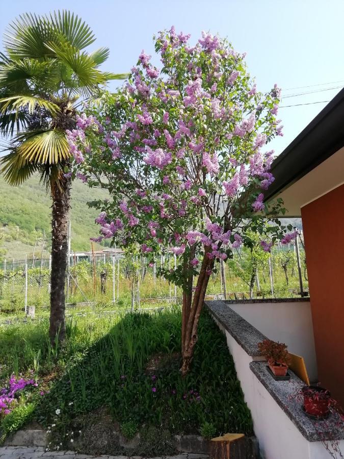 Alloggio Cristina Valdobbiadene Esterno foto