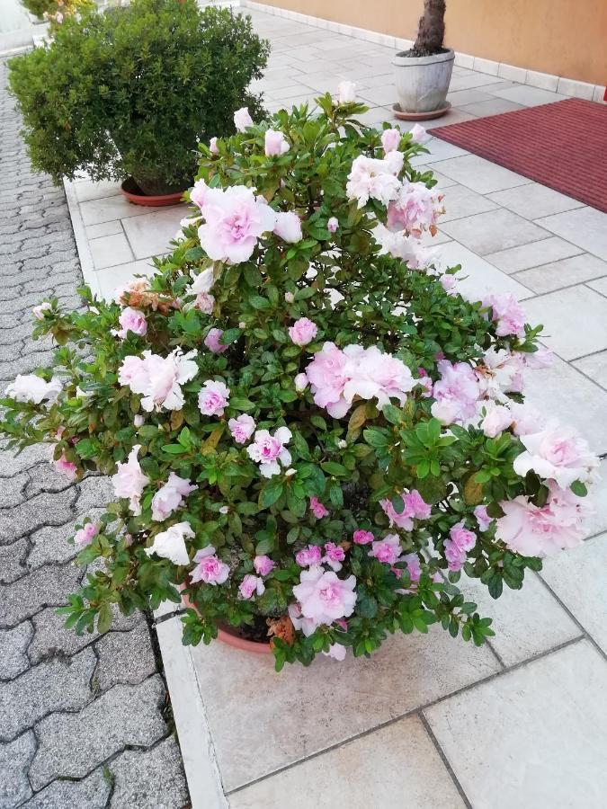 Alloggio Cristina Valdobbiadene Esterno foto